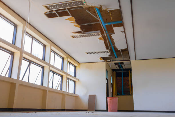 Best Flooded house restoration  in Kendallville, IN