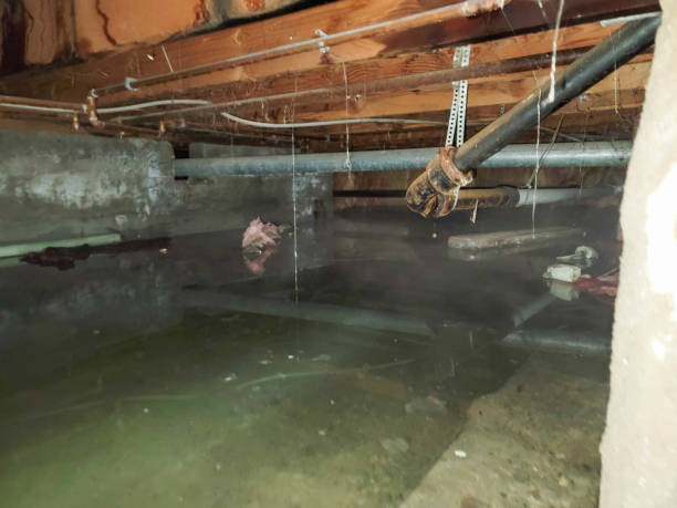 24/7 water damage repair in Kendallville, IN