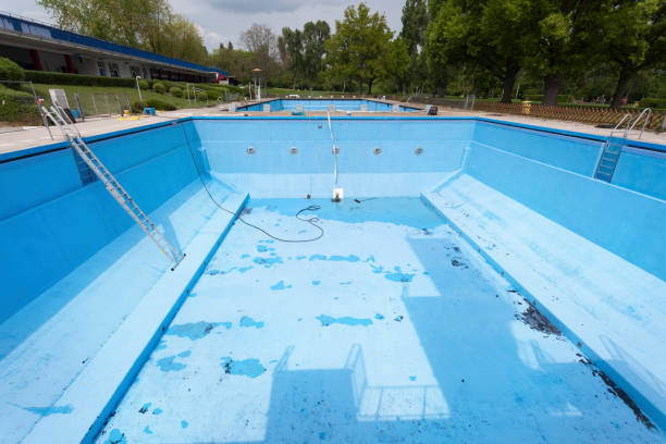 Best Mold removal after water damage  in Kendallville, IN