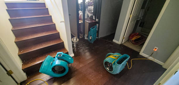 Carpet water damage restoration in Kendallville, IN