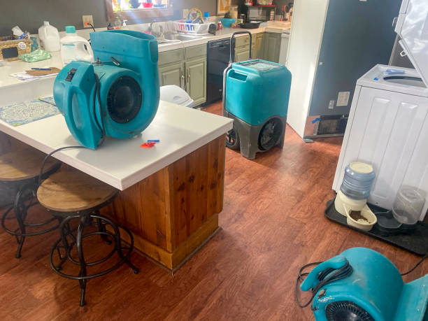 Best Basement water damage restoration  in Kendallville, IN