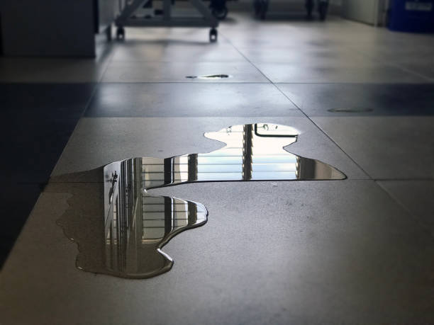 Best Carpet water damage restoration  in Kendallville, IN