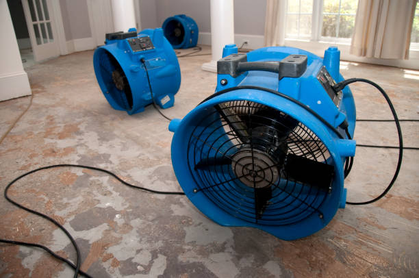 Best Flood restoration services  in Kendallville, IN