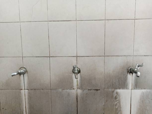 Best Water damage mitigation services  in Kendallville, IN