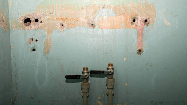 Best Water damage contractors near me  in Kendallville, IN