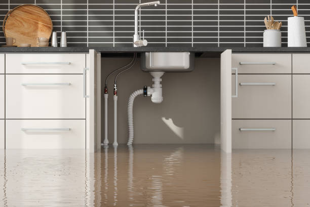 Professional Water damage restoration in Kendallville, IN
