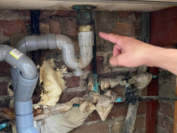 Best Local water damage restoration  in Kendallville, IN